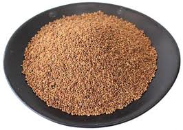 Dodder Seed